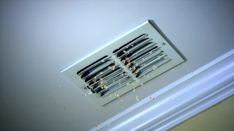 Ductwork Cleaning Services in Darmstadt, IN