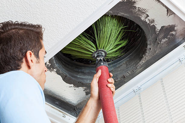 Air Duct Mold Removal in Darmstadt, IN