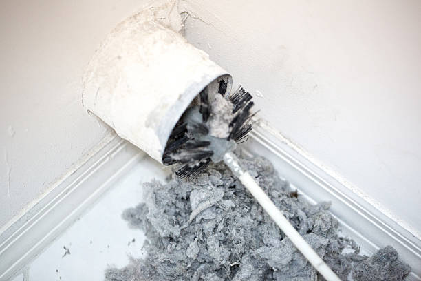 Best Affordable Air Duct Cleaning  in Darmstadt, IN